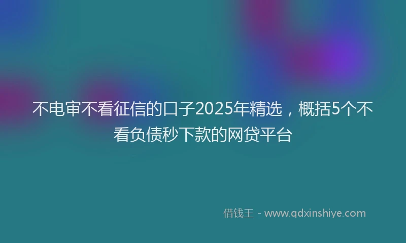 不电审不看征信的口子2025年精选，概括5个不看负债秒下款的网贷平台
