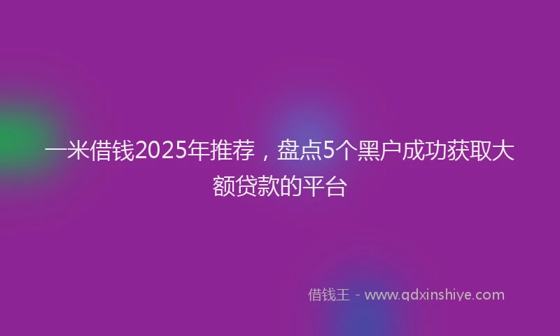 一米借钱2025年推荐，盘点5个黑户成功获取大额贷款的平台