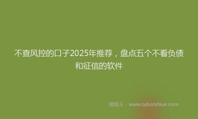 不查风控的口子2025年推荐，盘点五个不看负债和征信的软件