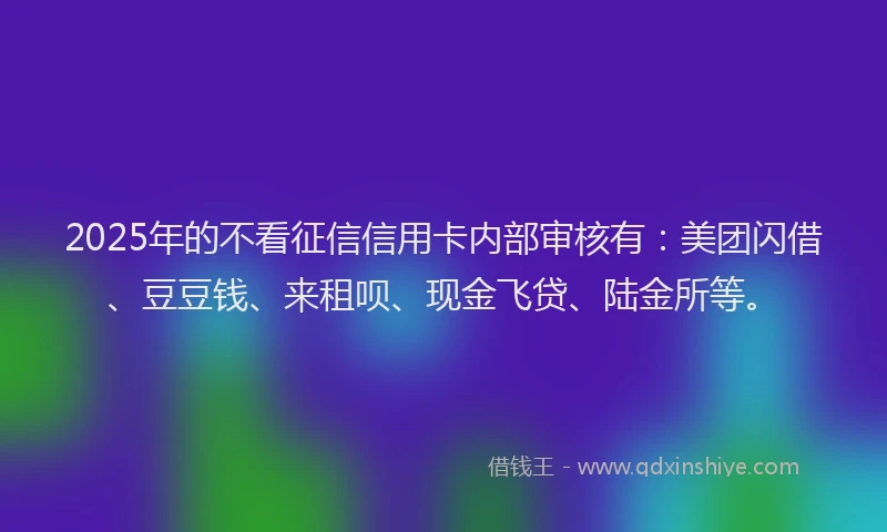 2025年的不看征信信用卡内部审核有：美团闪借、豆豆钱、来租呗、现金飞贷、陆金所等。