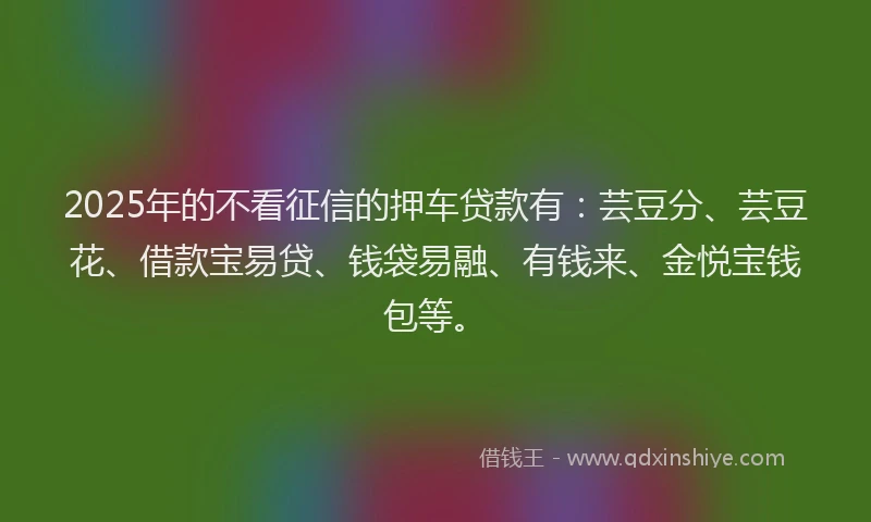 2025年的不看征信的押车贷款有：芸豆分、芸豆花、借款宝易贷、钱袋易融、有钱来、金悦宝钱包等。