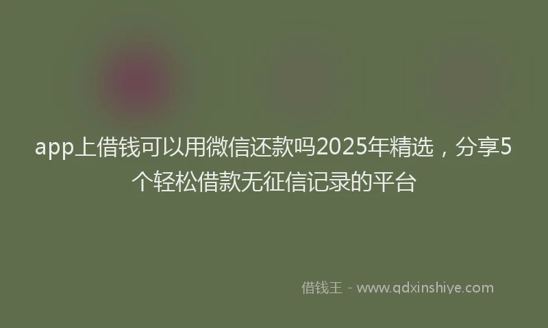 app上借钱可以用微信还款吗2025年精选，分享5个轻松借款无征信记录的平台