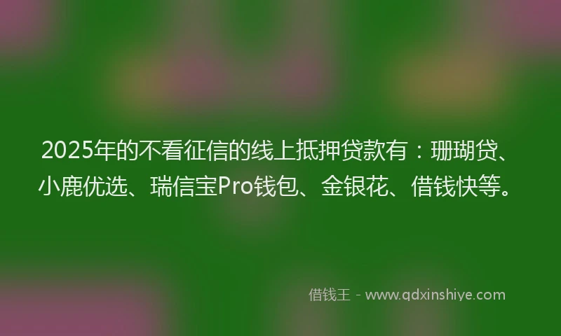 2025年的不看征信的线上抵押贷款有：珊瑚贷、小鹿优选、瑞信宝Pro钱包、金银花、借钱快等。