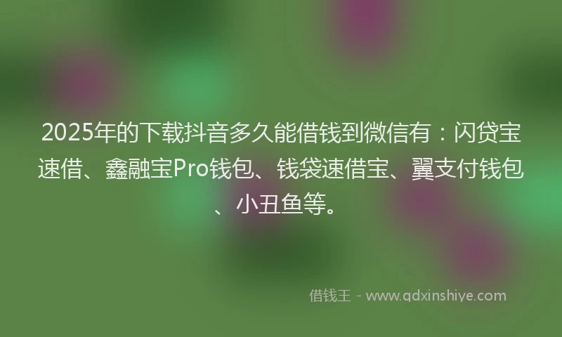 2025年的下载抖音多久能借钱到微信有：闪贷宝速借、鑫融宝Pro钱包、钱袋速借宝、翼支付钱包、小丑鱼等。