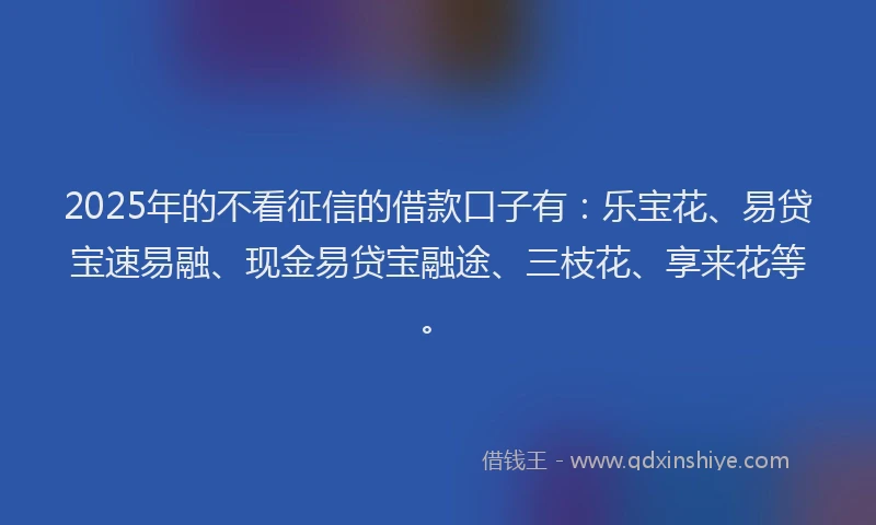 2025年的不看征信的借款口子有：乐宝花、易贷宝速易融、现金易贷宝融途、三枝花、享来花等。