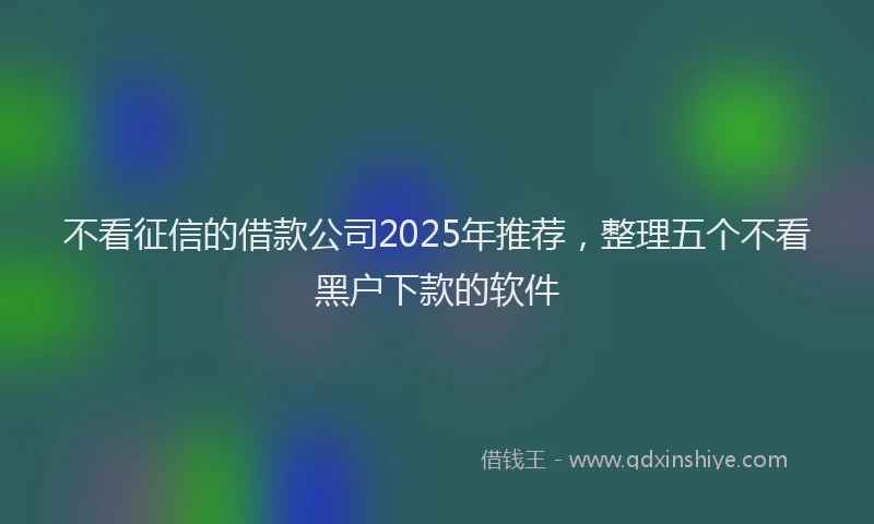 不看征信的借款公司2025年推荐，整理五个不看黑户下款的软件