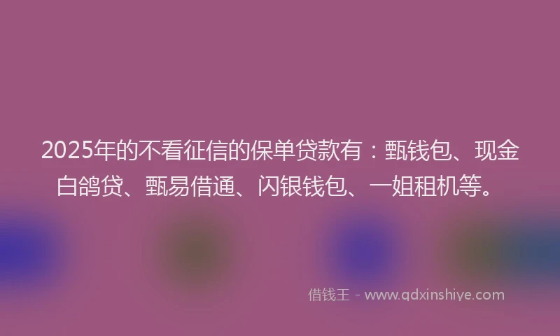 2025年的不看征信的保单贷款有：甄钱包、现金白鸽贷、甄易借通、闪银钱包、一姐租机等。