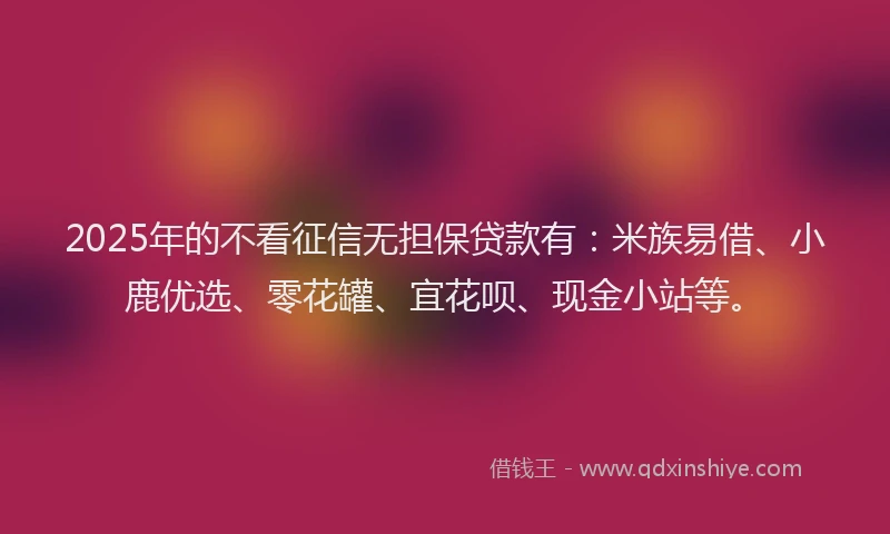 2025年的不看征信无担保贷款有：米族易借、小鹿优选、零花罐、宜花呗、现金小站等。