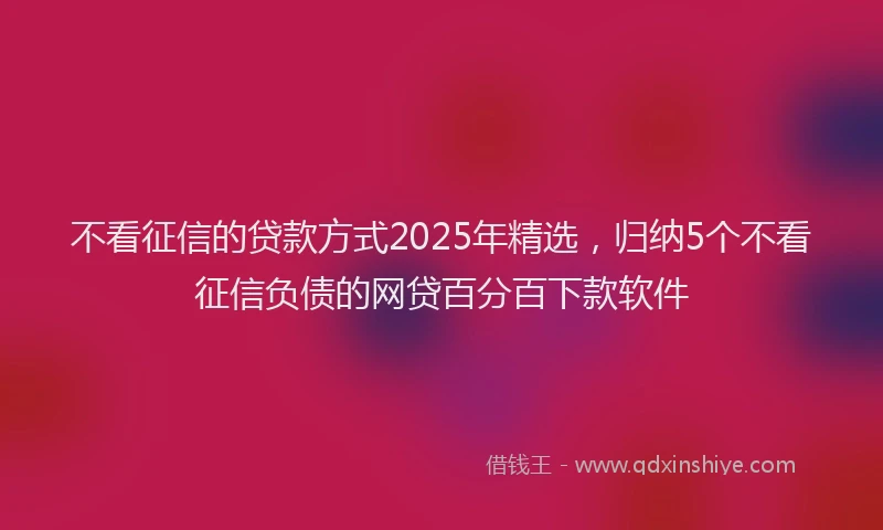 不看征信的贷款方式2025年精选，归纳5个不看征信负债的网贷百分百下款软件