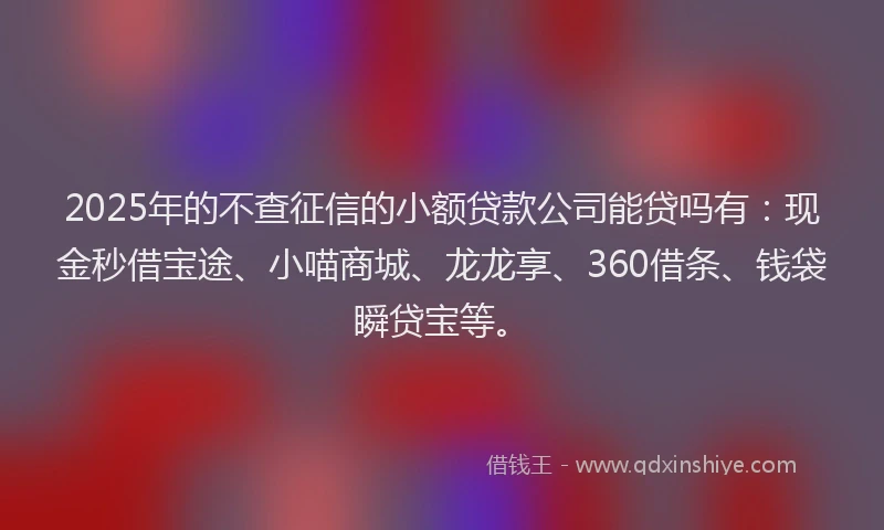 2025年的不查征信的小额贷款公司能贷吗有：现金秒借宝途、小喵商城、龙龙享、360借条、钱袋瞬贷宝等。