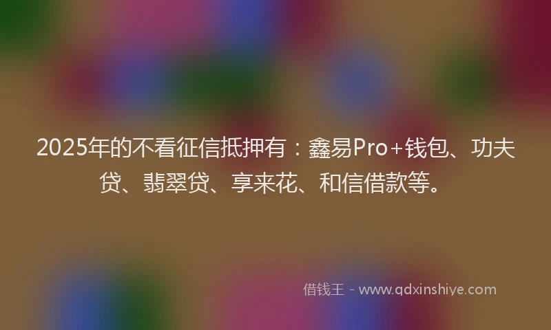 2025年的不看征信抵押有：鑫易Pro+钱包、功夫贷、翡翠贷、享来花、和信借款等。