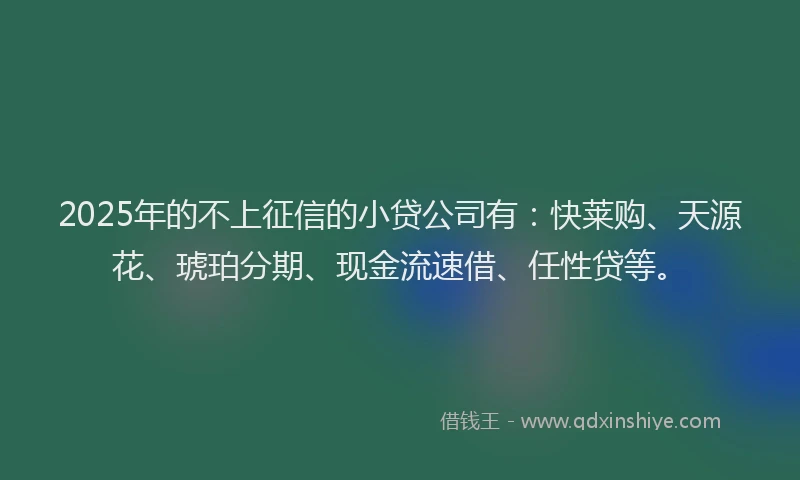 2025年的不上征信的小贷公司有：快莱购、天源花、琥珀分期、现金流速借、任性贷等。