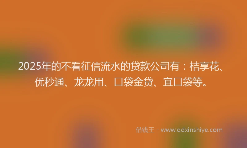 2025年的不看征信流水的贷款公司有：桔享花、优秒通、龙龙用、口袋金贷、宜口袋等。