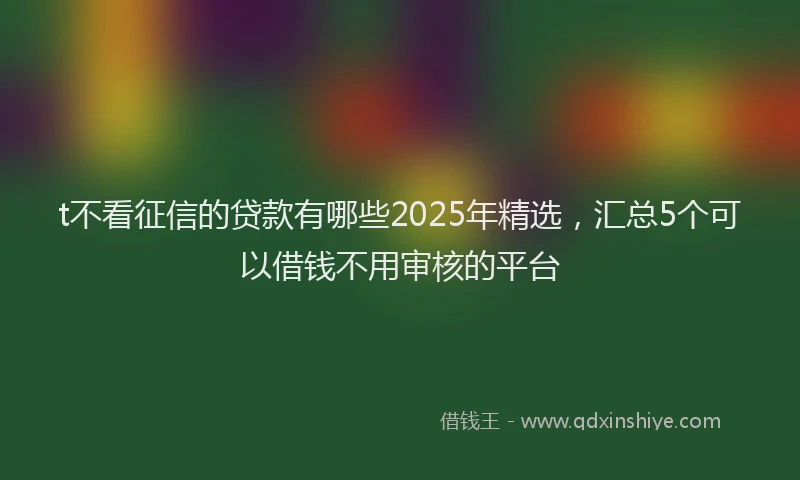 t不看征信的贷款有哪些2025年精选，汇总5个可以借钱不用审核的平台