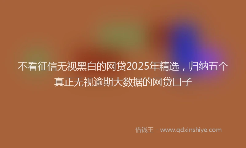 不看征信无视黑白的网贷2025年精选，归纳五个真正无视逾期大数据的网贷口子