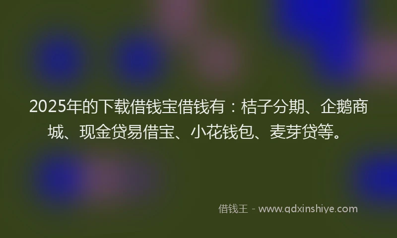 2025年的下载借钱宝借钱有：桔子分期、企鹅商城、现金贷易借宝、小花钱包、麦芽贷等。