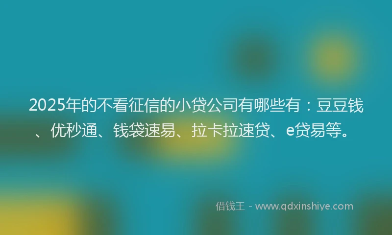 2025年的不看征信的小贷公司有哪些有：豆豆钱、优秒通、钱袋速易、拉卡拉速贷、e贷易等。