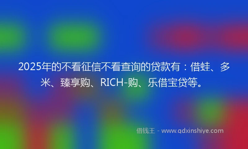2025年的不看征信不看查询的贷款有：借蛙、多米、臻享购、RICH-购、乐借宝贷等。