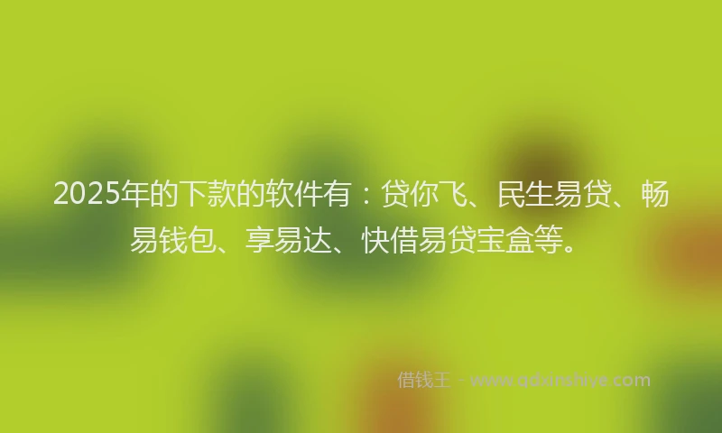 2025年的下款的软件有：贷你飞、民生易贷、畅易钱包、享易达、快借易贷宝盒等。