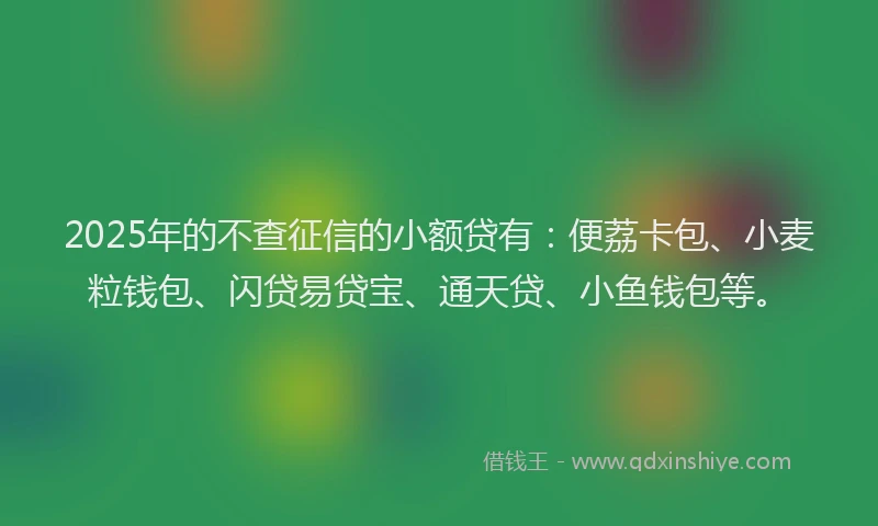 2025年的不查征信的小额贷有：便荔卡包、小麦粒钱包、闪贷易贷宝、通天贷、小鱼钱包等。