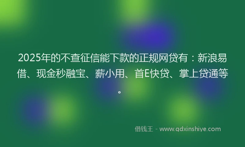 2025年的不查征信能下款的正规网贷有：新浪易借、现金秒融宝、薪小用、首E快贷、掌上贷通等。