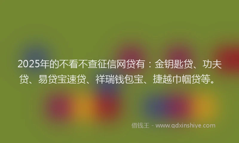 2025年的不看不查征信网贷有：金钥匙贷、功夫贷、易贷宝速贷、祥瑞钱包宝、捷越巾帼贷等。