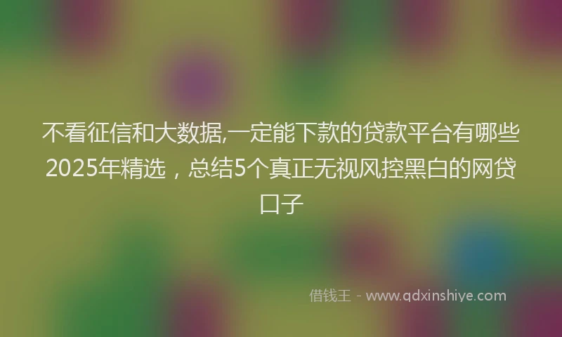 不看征信和大数据,一定能下款的贷款平台有哪些2025年精选，总结5个真正无视风控黑白的网贷口子