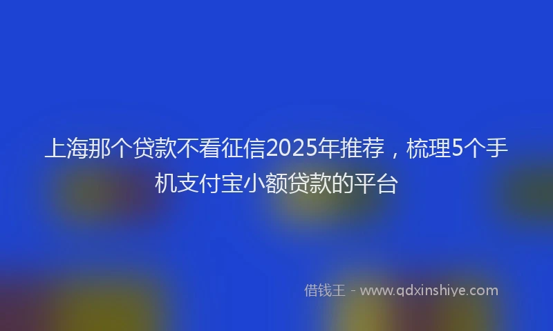上海那个贷款不看征信2025年推荐，梳理5个手机支付宝小额贷款的平台