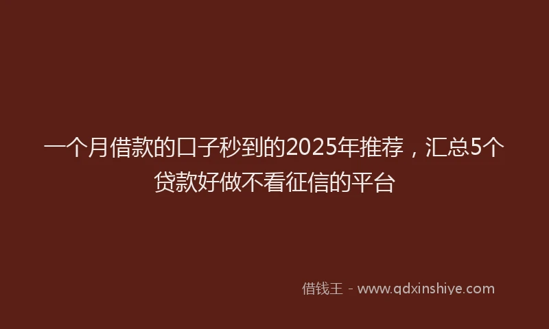 一个月借款的口子秒到的2025年推荐，汇总5个贷款好做不看征信的平台