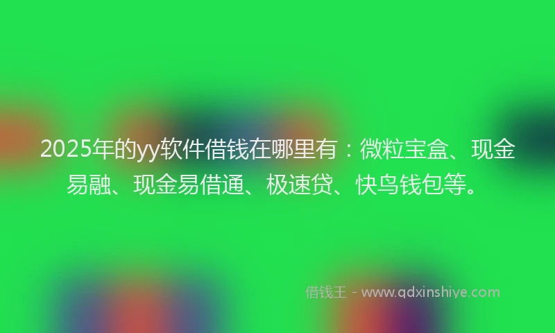 2025年的yy软件借钱在哪里有：微粒宝盒、现金易融、现金易借通、极速贷、快鸟钱包等。