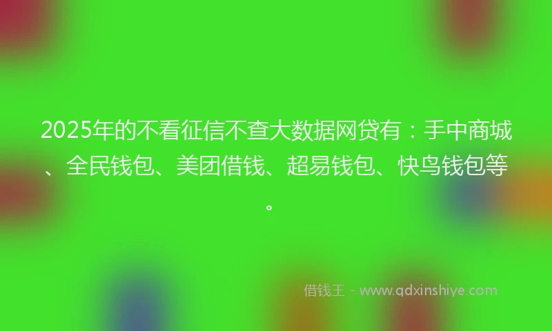 2025年的不看征信不查大数据网贷有：手中商城、全民钱包、美团借钱、超易钱包、快鸟钱包等。