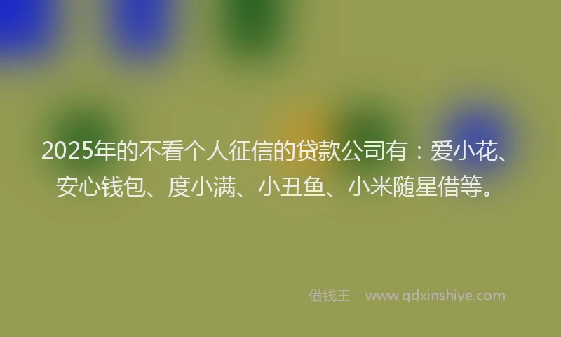 2025年的不看个人征信的贷款公司有：爱小花、安心钱包、度小满、小丑鱼、小米随星借等。