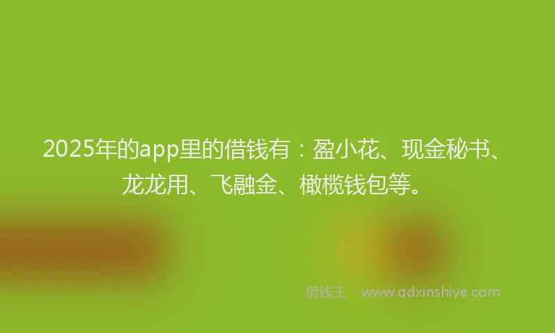2025年的app里的借钱有：盈小花、现金秘书、龙龙用、飞融金、橄榄钱包等。