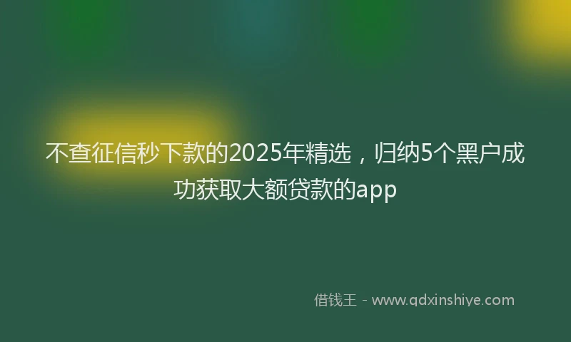 不查征信秒下款的2025年精选，归纳5个黑户成功获取大额贷款的app