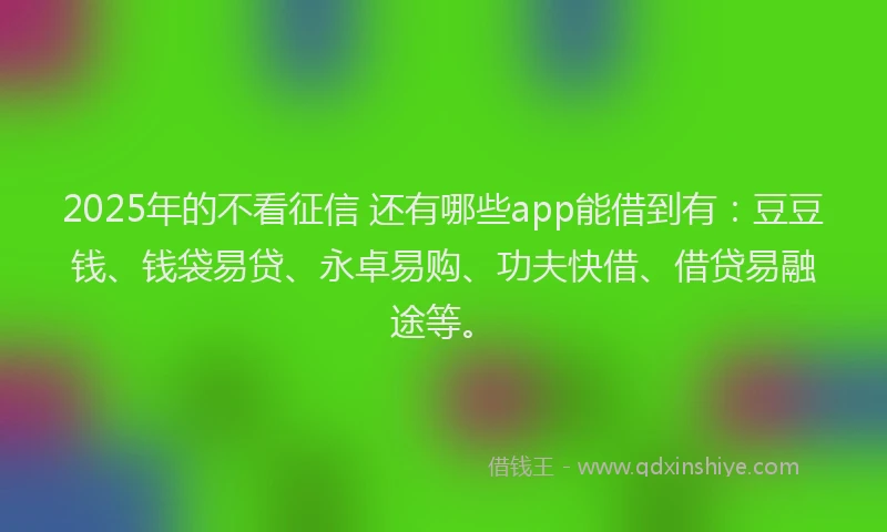 2025年的不看征信 还有哪些app能借到有：豆豆钱、钱袋易贷、永卓易购、功夫快借、借贷易融途等。