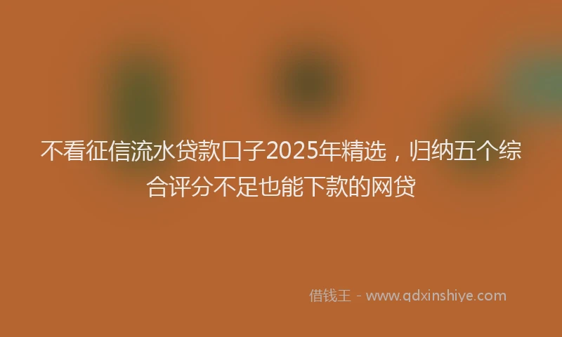 不看征信流水贷款口子2025年精选，归纳五个综合评分不足也能下款的网贷