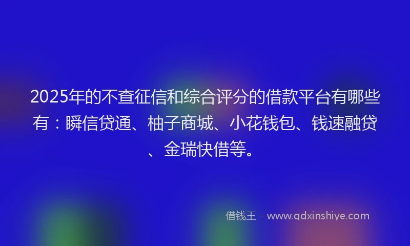 2025年的不查征信和综合评分的借款平台有哪些有：瞬信贷通、柚子商城、小花钱包、钱速融贷、金瑞快借等。