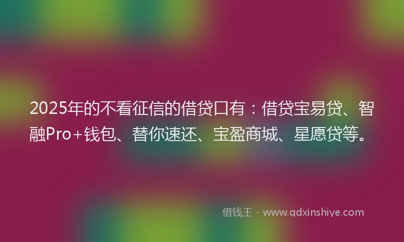 2025年的不看征信的借贷口有：借贷宝易贷、智融Pro+钱包、替你速还、宝盈商城、星愿贷等。
