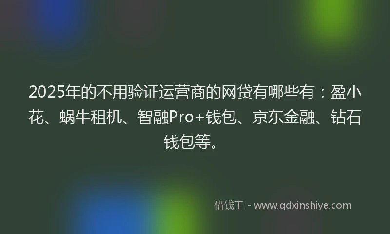 2025年的不用验证运营商的网贷有哪些有：盈小花、蜗牛租机、智融Pro+钱包、京东金融、钻石钱包等。