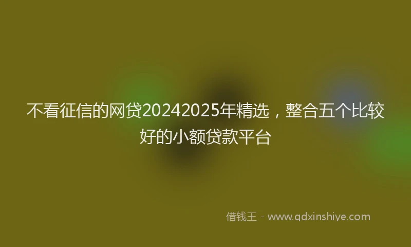 不看征信的网贷20242025年精选，整合五个比较好的小额贷款平台