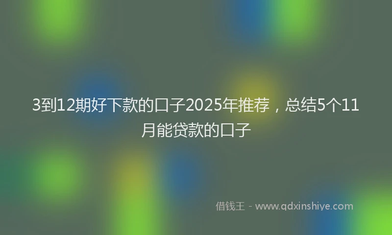3到12期好下款的口子2025年推荐，总结5个11月能贷款的口子