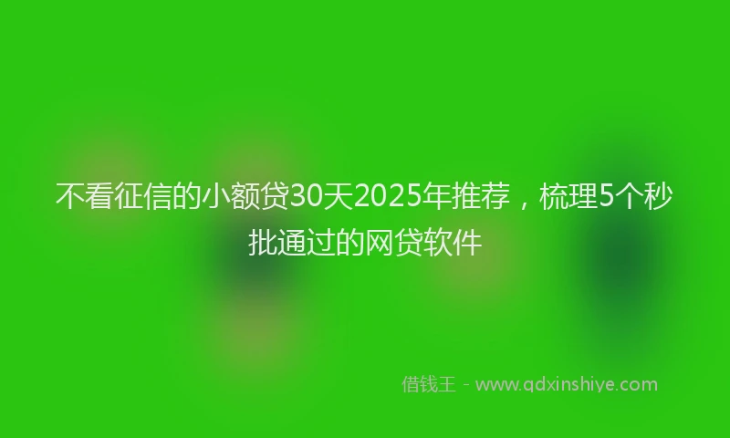 不看征信的小额贷30天2025年推荐，梳理5个秒批通过的网贷软件