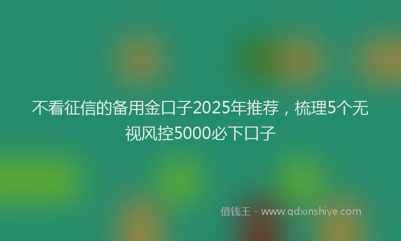 不看征信的备用金口子2025年推荐，梳理5个无视风控5000必下口子