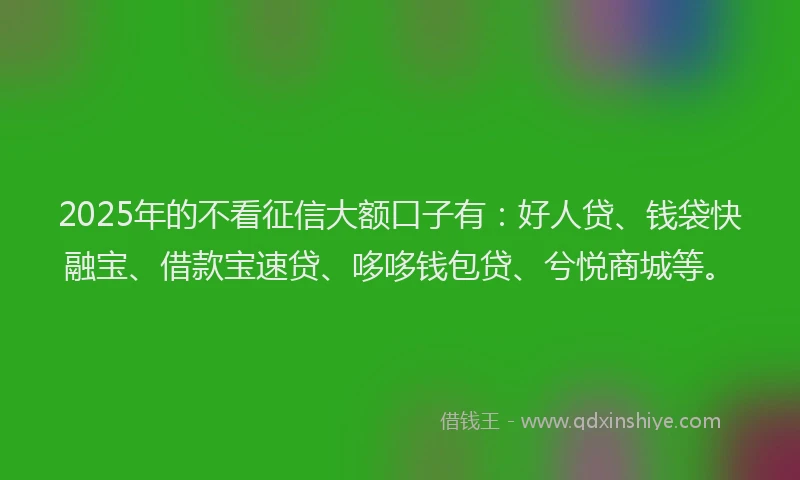 2025年的不看征信大额口子有：好人贷、钱袋快融宝、借款宝速贷、哆哆钱包贷、兮悦商城等。