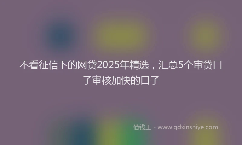 不看征信下的网贷2025年精选，汇总5个审贷口子审核加快的口子