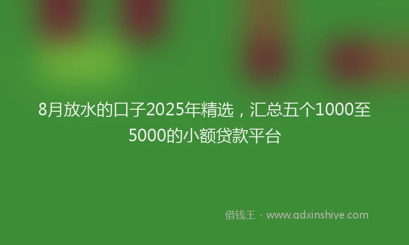 8月放水的口子2025年精选，汇总五个1000至5000的小额贷款平台
