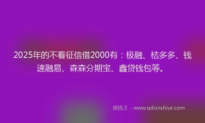 2025年的不看征信借2000有：极融、桔多多、钱速融易、森森分期宝、鑫贷钱包等。