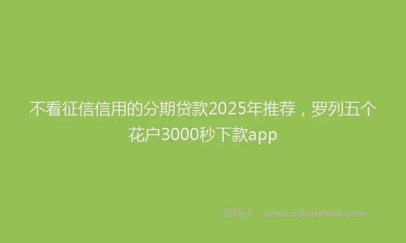 不看征信信用的分期贷款2025年推荐，罗列五个花户3000秒下款app