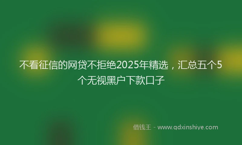 不看征信的网贷不拒绝2025年精选，汇总五个5个无视黑户下款口子