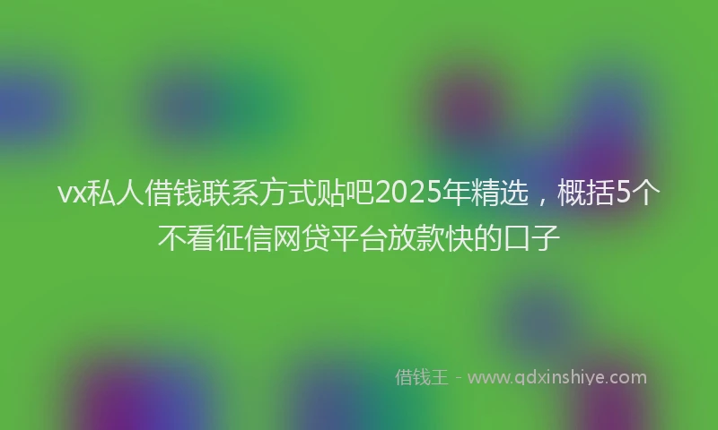 vx私人借钱联系方式贴吧2025年精选，概括5个不看征信网贷平台放款快的口子